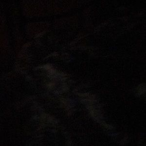 Meet your Posher, Ashraf